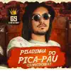 Pisadinha do Pica Pau - Single album lyrics, reviews, download