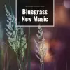 Beautiful Bluegrass New Music album lyrics, reviews, download