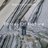 Forces Of Nature (DJ Mix) artwork