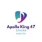 Ego - Apollo King 47 lyrics
