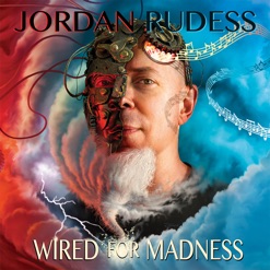 WIRED FOR MADNESS cover art