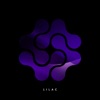 Lilac - Single