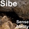 Zibe - Sibe lyrics