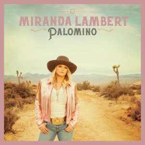 Miranda Lambert - Strange - 排舞 音樂