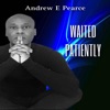Waited Patiently - Single