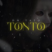 Tonto artwork