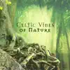Celtic Vibes of Nature: Mystical & Magic Playlist Music 2022 album lyrics, reviews, download