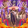 El Adiós de la Vida - Single album lyrics, reviews, download