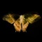 Untrue - Ace Pariston lyrics