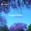 Searching Of The Roots - EP