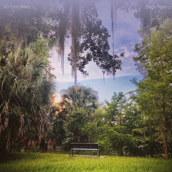 Cover artwork for Fly Down South