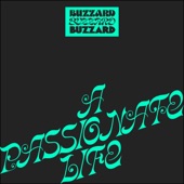Buzzard Buzzard Buzzard - Break Right In