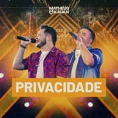 Privacidade (Ao Vivo) artwork