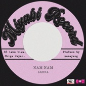 NAN-NAN (feat. AKINNA) artwork
