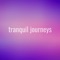 Dream Dust - Tranquil Journeys lyrics