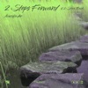 2 Steps Forward & 2 Steps Back - Single