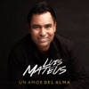 Un Amor Del Alma - Single