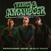 Vamos a Amanecer (Remix) artwork