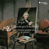 Haydn: Concerti per Esterházy artwork