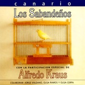 Canario artwork