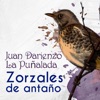 Zorzales de Antaño - Juan Darienzo - La Puñalada