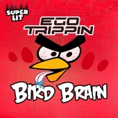 Bird Brain - EP artwork