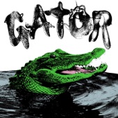 Gator artwork