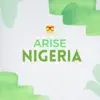 Arise Nigeria (feat. T-Max, JBO & Toyorcee) - Single album lyrics, reviews, download