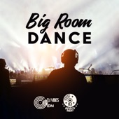 Big Room Dance: EDM Dance Party, Dreamy Vibes, Golden Hour Beats