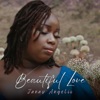 Beautiful Love - Single