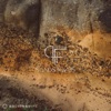 Sandstones - Single