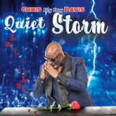 Quiet Storm (Instrumental) artwork