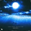 Aaron Shirk - Drown (ft. Meggie York)