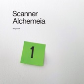 Scanner - Scincidae