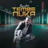 Stream & download Tembenuka - Single