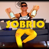 Sobrio artwork