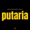 Stream & download Apaixonado pela Putaria - Single