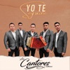 Yo Te Seguiré