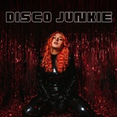 Disco Junkie artwork