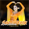 Santri Pekok - Single