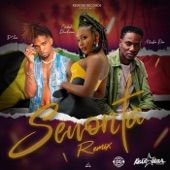 Senorita (Remix) artwork