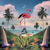 Amonita - Stay