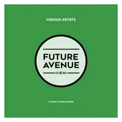 2 Years Future Avenue by Hobin Rude, Sinan Arsan & Ric Niels album reviews, ratings, credits