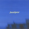 Juniper - Single