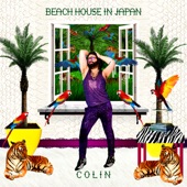 Beach House In Japan (Remixes) - EP artwork