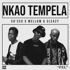 Nkao Tempela Song Lyrics