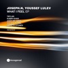 What I Feel (Kabir Khan Remix) - Single