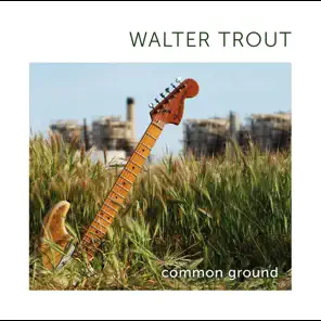 Walter Trout, 2010 - Common Ground