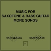 Sam Gendel - WELCOME VIBE