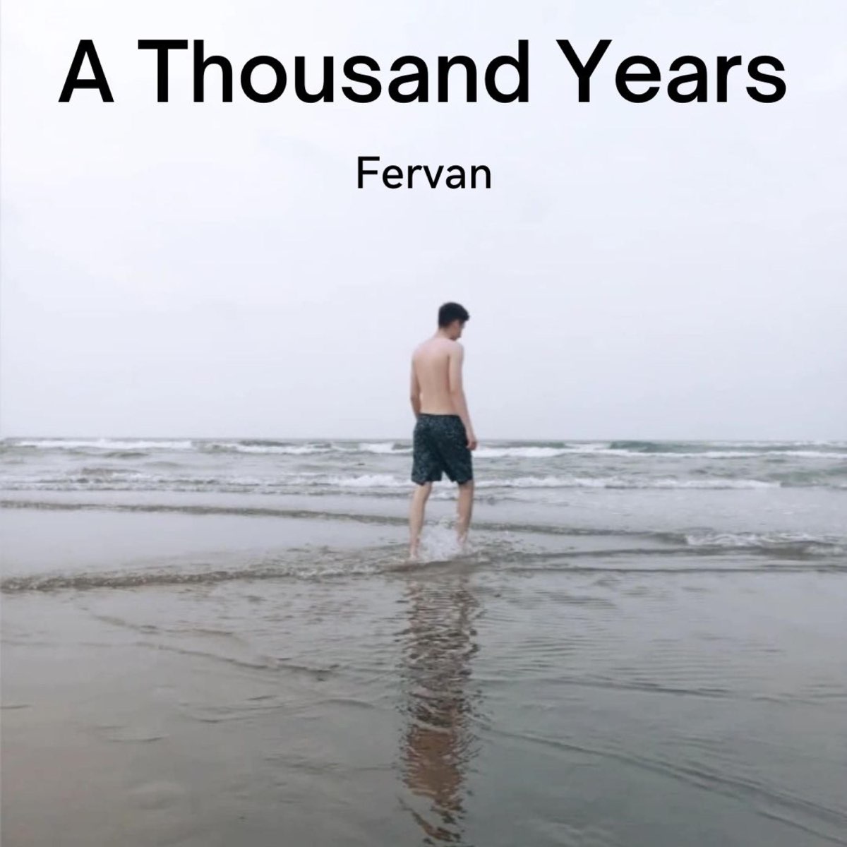 ‎a Thousand Years Single De Fervan En Apple Music